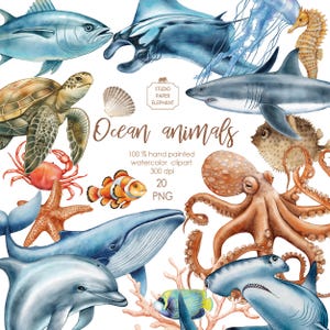 Aquarell Ozean Tiere Clipart, Ozean Fisch Clipart, Unterwasserwelt, Seefisch, Meereswelt, PNG, sofort Download