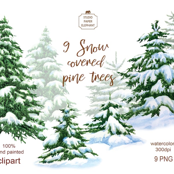 Watercolor  snow covered pine trees, Christmas trees, Winter clipart, Christmas clipart, Winter forest clipart, instant download, PNG.