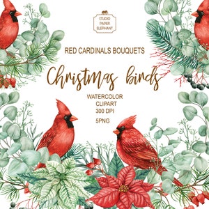 Buquês de Natal em aquarela com cardeais vermelhos, pássaros de Natal, clipart de buquês de Natal, clipart de Natal, PNG.