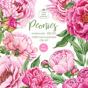 Aquarell rosa Pfingstrosen ClipArt, Pfingstrosen Blumen und Blätter, Hochzeit Blume Clipart, Floral Clipart, PNG, Scrapbooking, sofortiger download.