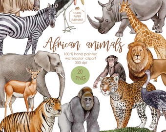 Watercolor African Animals Clipart: Realistic Wildlife PNG (Instant Download)