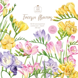 Aquarelle Freesia fleurs Printemps fleurs clipart Freesia bouquet PNG téléchargement instantané