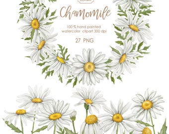 Aquarell Gänseblümchen Clipart: Kamille Blumenkranz (PNG Digital Download)