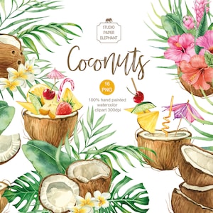 Acquerello Coconuts Clipart, Tropical Summer Clipart, Coconut Cocktail, Tropics Party, PNG, download istantaneo