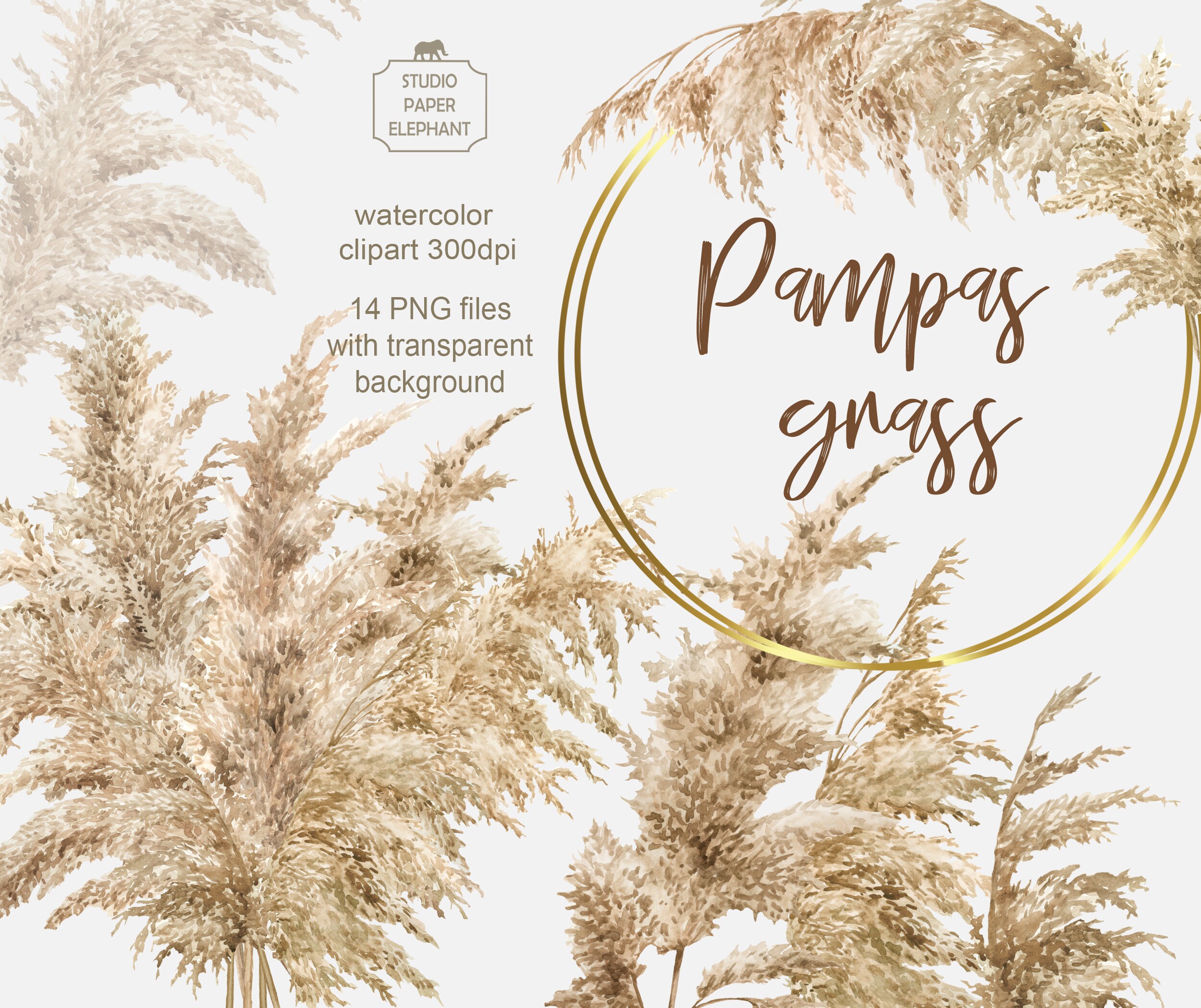 Pampas Grass clipart, Boho Watercolor Wreaths Bohemian, Wedding Invitation frame clipart, Neutral decor PNG,instant download