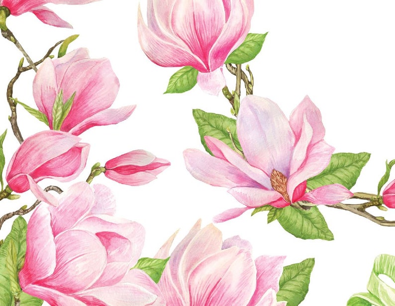 Watercolor Pink Magnolia Clipart Spring Clipart Wedding - Etsy
