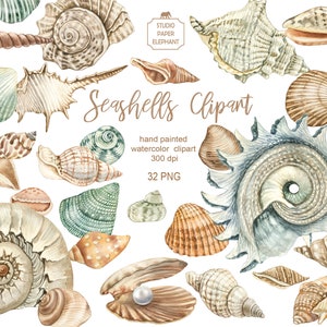 Aquarel schelpen clipart, schelpen clipart, schelpen stickers, schelp sublimatie, scrapbooking, PNG, instant download.