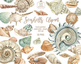 Clipart de conchas de acuarela: pegatinas PNG, scrapbooking (descarga digital)