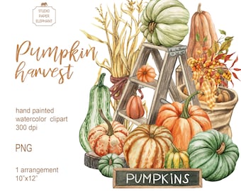 Watercolor Pumpkin Clipart: Fall Harvest Arrangement (PNG, Instant Download)