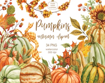 May include: Watercolor illustration of pumpkins, leaves, and berries in autumn colors. The text "Pumpkins autumn clipart" and "34 PNG watercolor 300 dpi" is included in the image.
