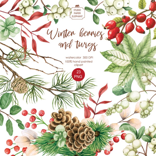 Watercolor winter clipart branches red berries pine cones snowberry branches pine branch rosehip branch Christmas clipart PNG