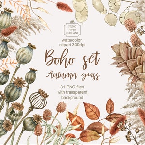 Clipart de buquê de outono em aquarela, vagens de papoula, grama de pampas, design de casamento Boho, plantas secas, PNG, download instantâneo.