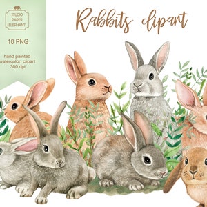 Aquarell Hasen Clipart, Hasen Clipart, Osterhasen, Frühling Clipart, graues Kaninchen, rotes Kaninchen, PNG, sofortiger download.