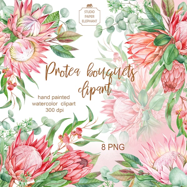 Watercolor Protea Bouquets, Protea Wedding Bouquet, Protea Flowers Invitation, Protea Flower Arrangement, PNG, instant download.