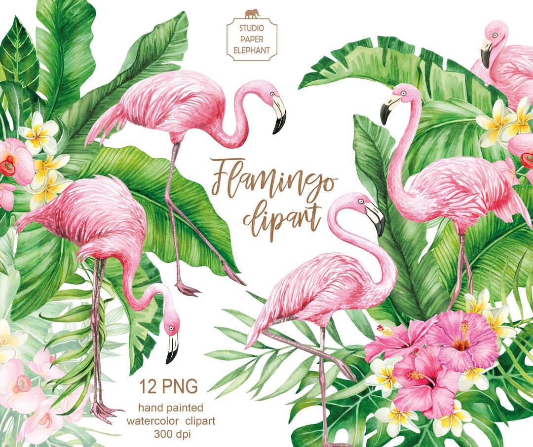 Watercolor Flamingo Clipart: Tropical Flowers & Bouquets (PNG, Digital ...