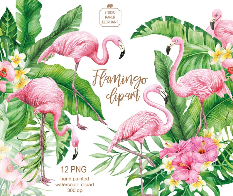 May include: Watercolor clipart featuring pink flamingos and tropical green leaves. The set includes 12 PNG files, hand-painted and 300 dpi.