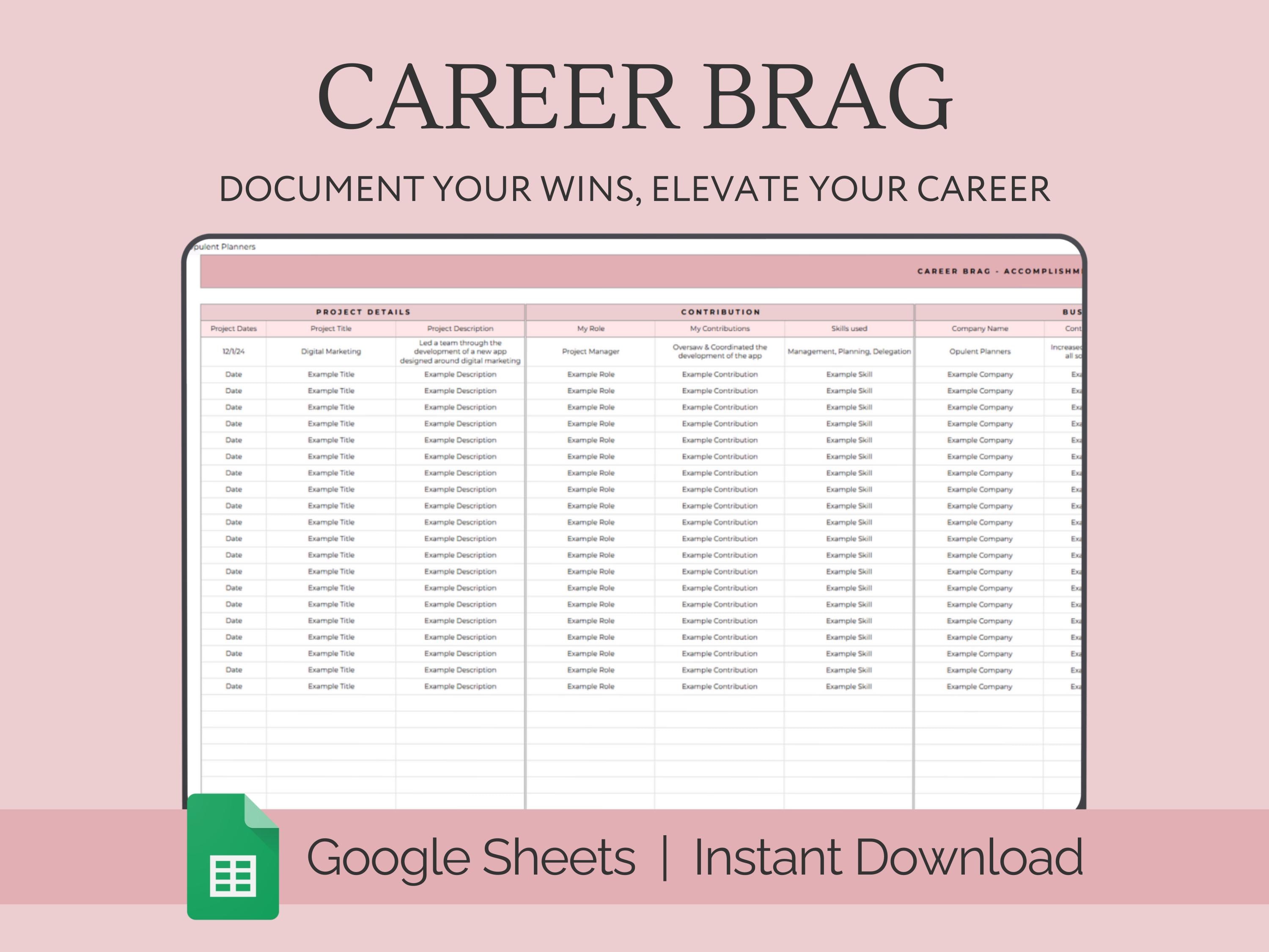 Profession Spreadsheet Career Tracker Spreadsheet, Google Sheets Template, Career Brag ...