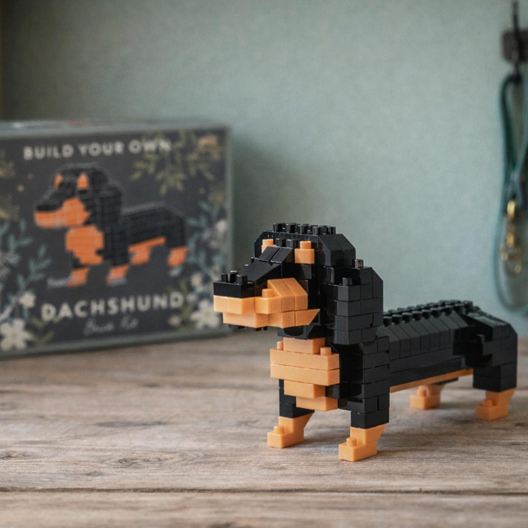 Paws Build Just Paws 'build Your Own Dachshund Brick Kit' | in Gift Box | Craft - Etsy