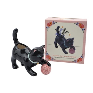 Verspielte Katze Mini Indoor Air Planter mit Geschenkbox • Haustiere • Geschenk für Zuhause