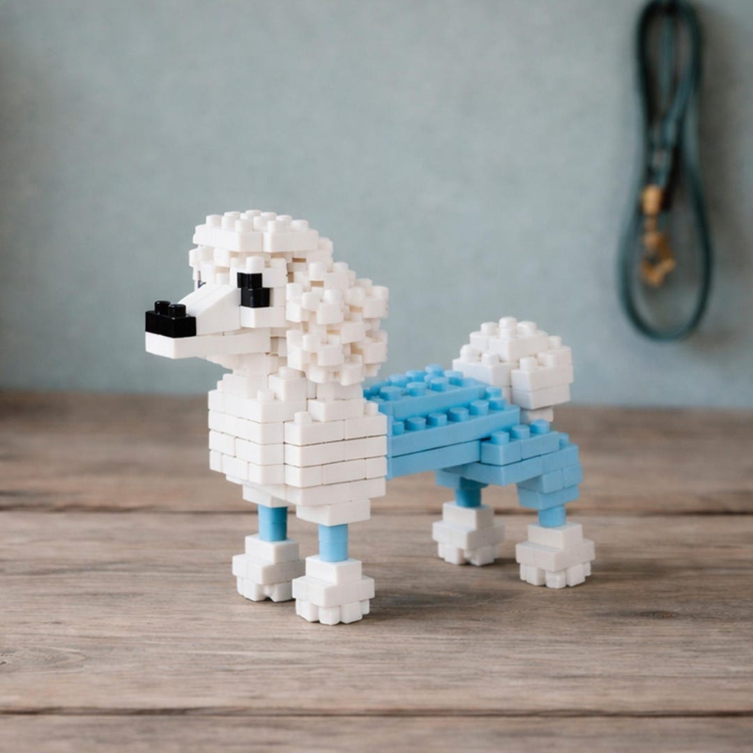 Paws Build Just Paws 'build Your Own Poodle Brick Kit' | in Gift Box | Craft - Etsy