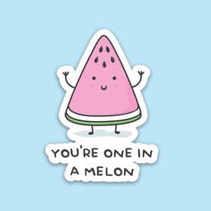 Pack of 3 | &#39;You&#39;re One In A Melon&#39; | Novelty Sticker | Laptop | Notebook | Phone | Planner | Bottle | Scrapbook | Funny | Pun Sticker