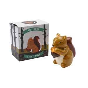Pode incluir: Uma figurinha de esquilo de cerâmica segurando uma noz. A figurinha é marrom e bege com a barriga branca. A figurinha está embalada em uma caixa com as palavras "Squirrel Light Pull" impressas nela.