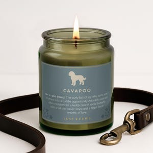 May include: A lit candle in a dark green glass jar with a blue label featuring a white dog silhouette, the text CAVAPOO, and a definition of the breed. The label includes the text JUST PAWS. A brown leather leash with a brass clip is visible.