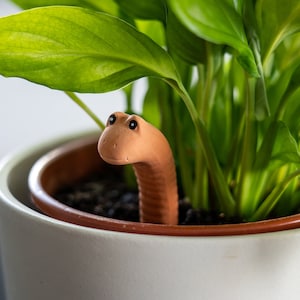 Der Wurm-Wassersensor für den Gartenschuppen in Geschenkbox