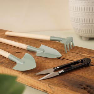 Può includere: Un set di piccoli attrezzi da giardinaggio, tra cui un rastrello, due cazzuole e un paio di forbici nere. Gli attrezzi hanno manici in legno e teste in metallo verde chiaro. Le forbici sono nere. Gli attrezzi sono disposti su una superficie di legno.
