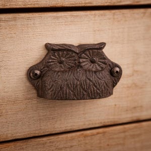 Peut inclure: Une poignée de tiroir en fonte brun foncé en forme de hibou. Le hibou présente des détails texturés rappelant des plumes sur tout le corps et deux yeux circulaires en forme de fleur. Elle est fixée sur une surface en bois clair par deux vis.