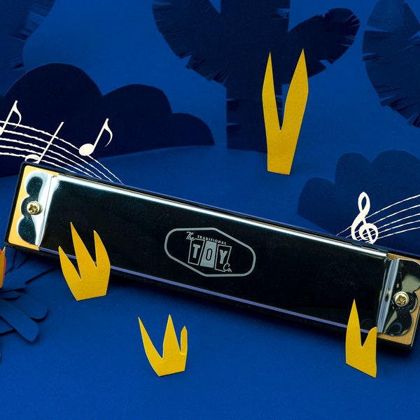 Harmonica Musical Wind Instrument with Gift Box