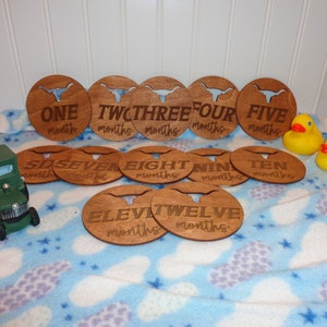 Custom Circle Baby's  Monthly Milestone Markers