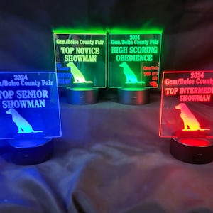 Acrylic Awards with Light Up Base