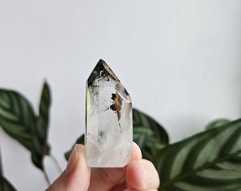 Garden Quartz | Lodolite | Quartz With Chlorite | Dream Stone | Shamanic Vision | Healing & Manifestation Crystal