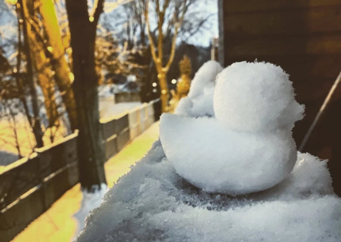 Snow duck makersnow duc moldsnowball shaper Etsy