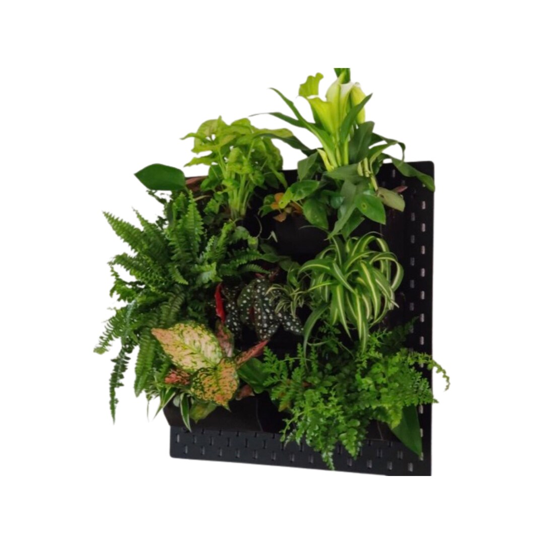 Ikea Skadis Plant Painting/plant Holder Ikea Pegboard/planters