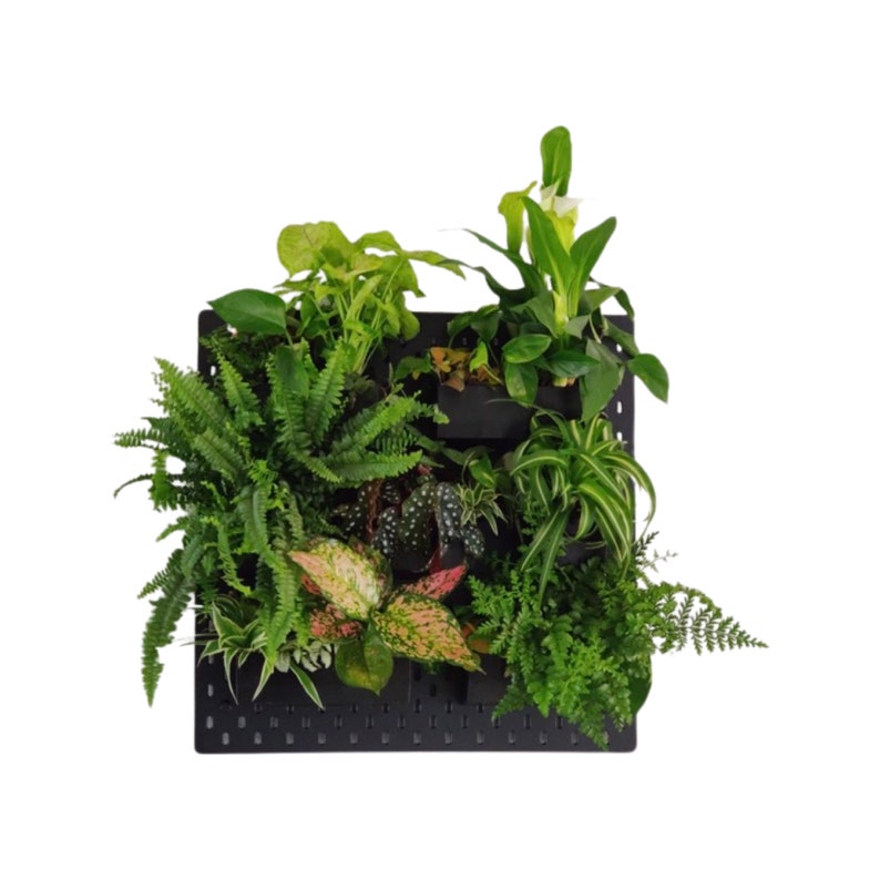 Ikea Skadis Plant Painting/plant Holder Ikea Pegboard/planters Etsy