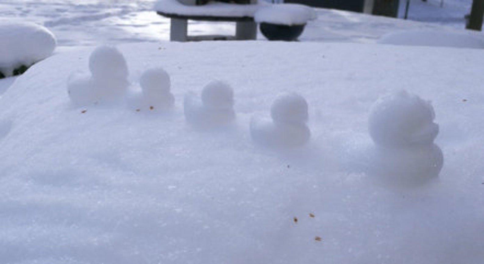 Snow duck makersnow duc moldsnowball shaper Etsy