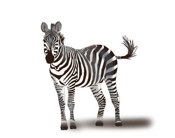 Digital download wall art zebra