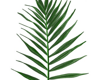Tropical Leaf Print/Tropical Leaves/ Green Leaf Print/Tropical theme decor/Green Leaves/Tropical Leaf Art/ Tropical Leaf Wall Art