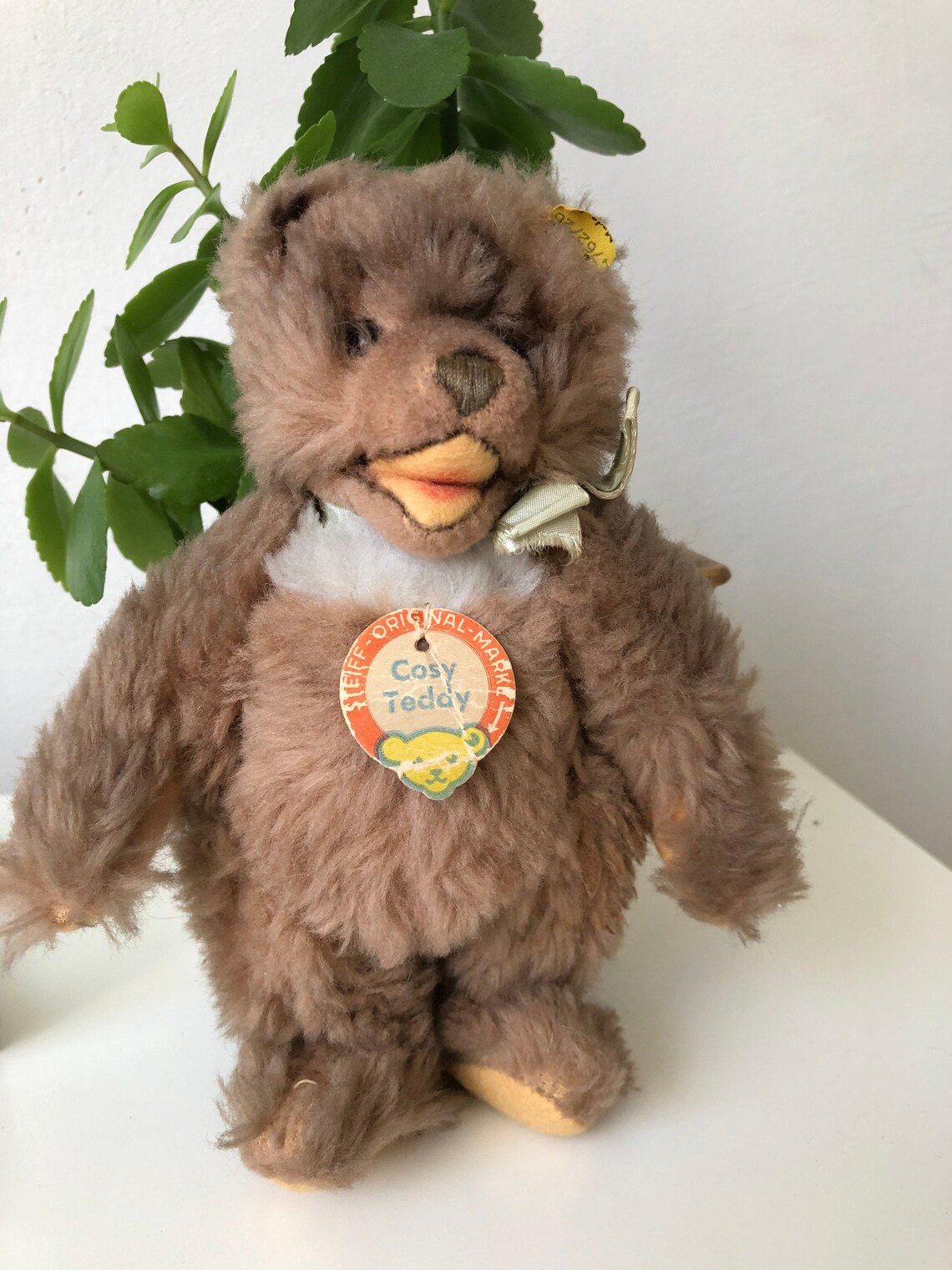 Steiff Cosy Teddy 1968 | Etsy