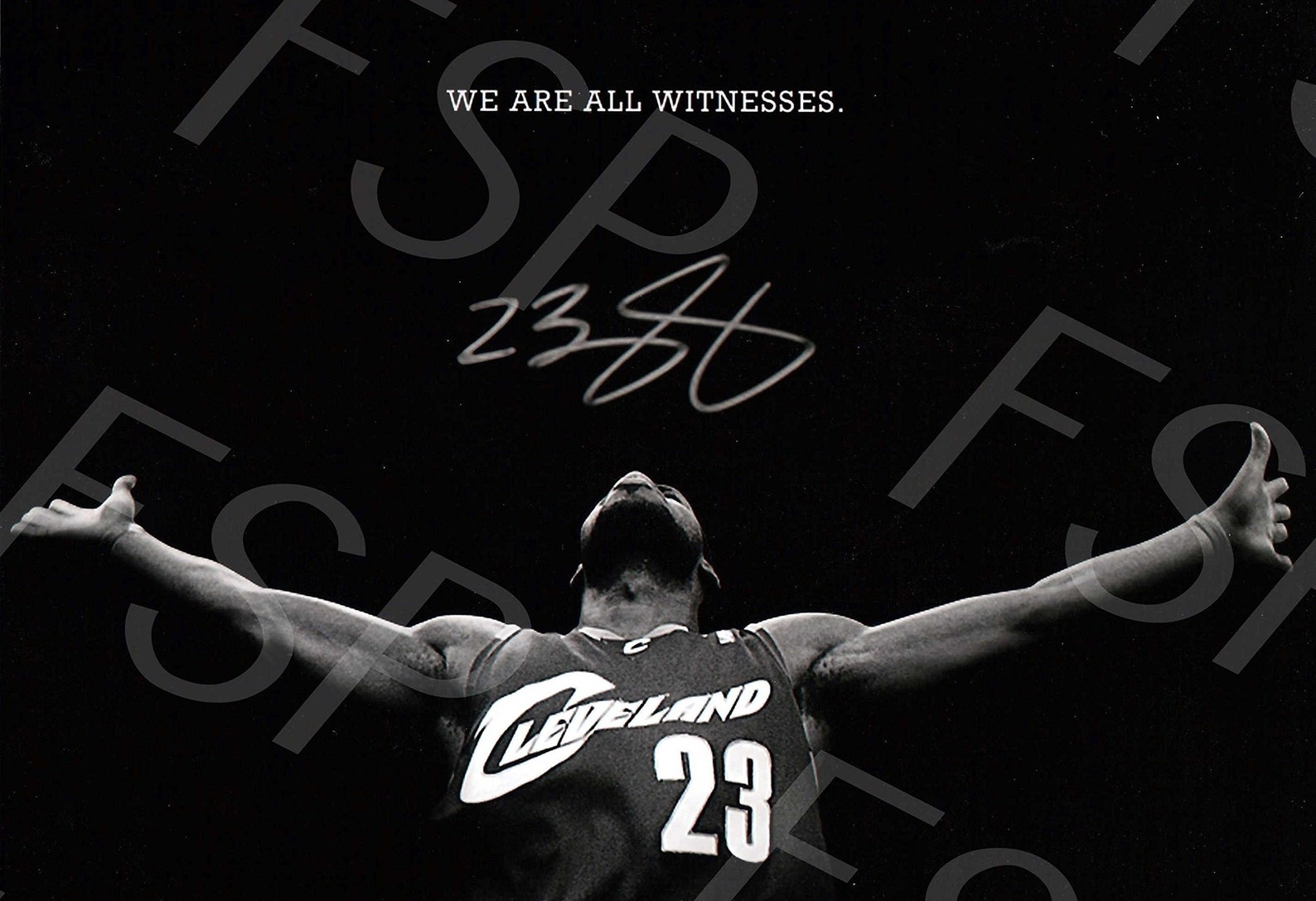 lebron james autographed