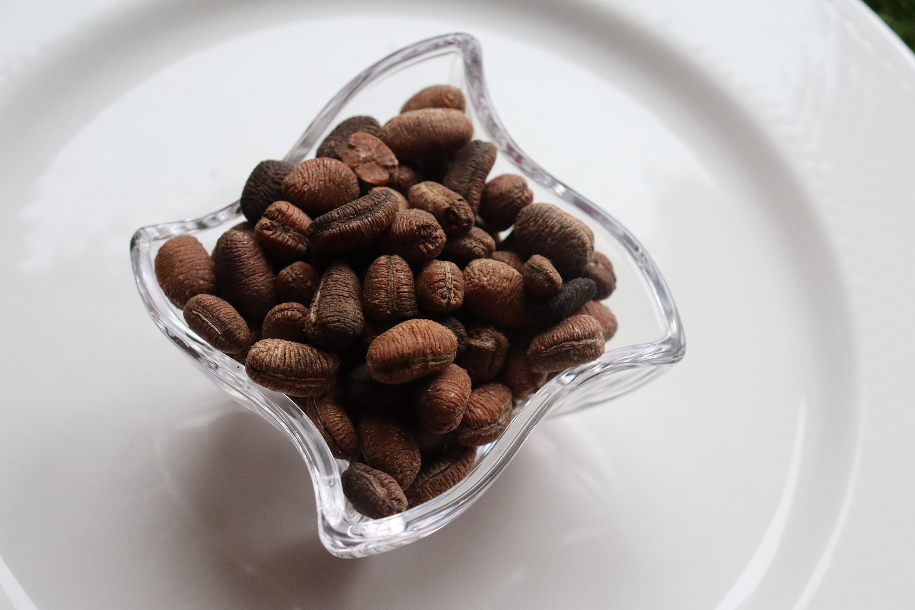 Ehuru wede airam african nutmeg calabash nutmeg 50g Etsy