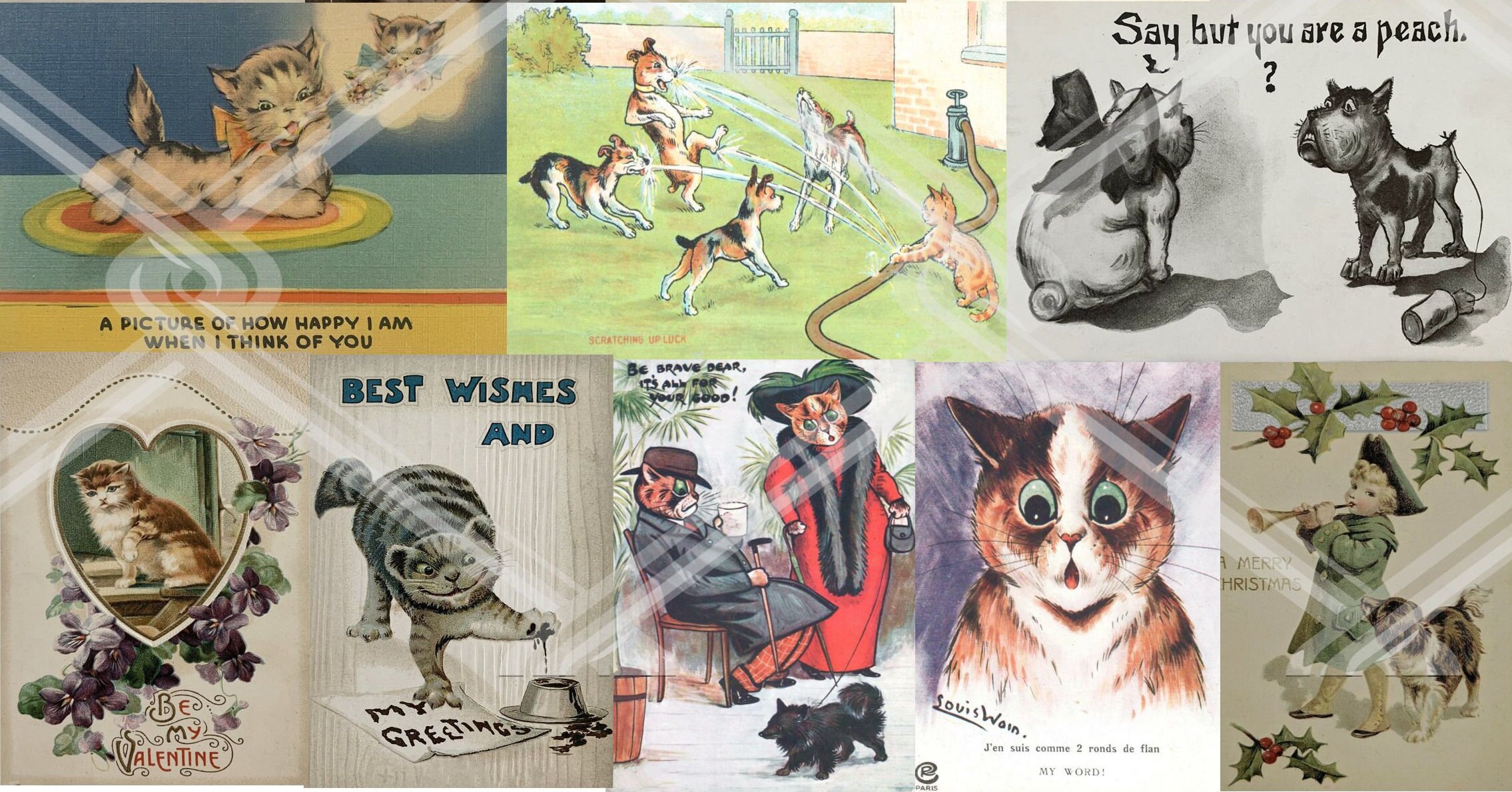 ANTIQUE Cat Postcard SET, Cute Cat Printable - Instant Download Digital ...