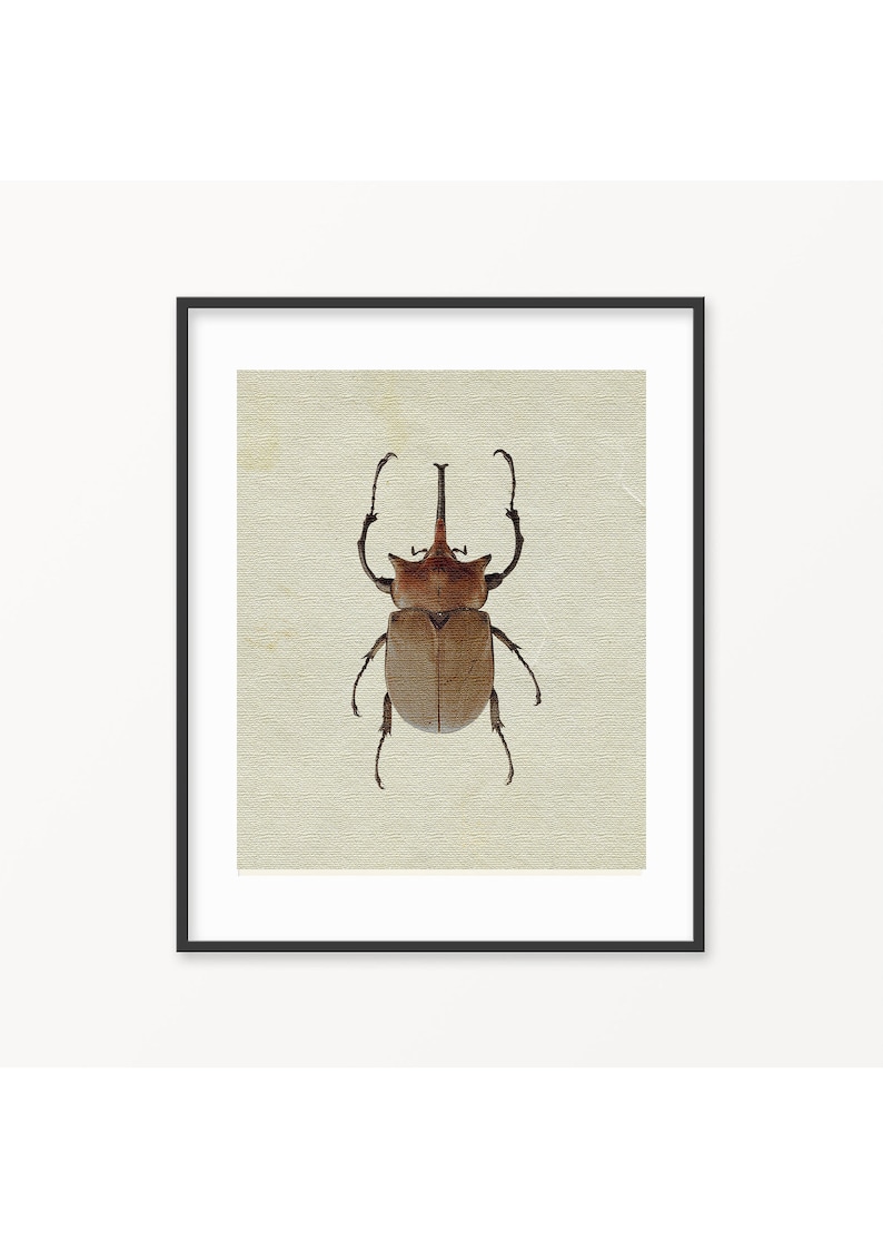 Beetle Print, Insect Print, Bugs Printable, Bugs Print, Bugs Art, Bugs ...