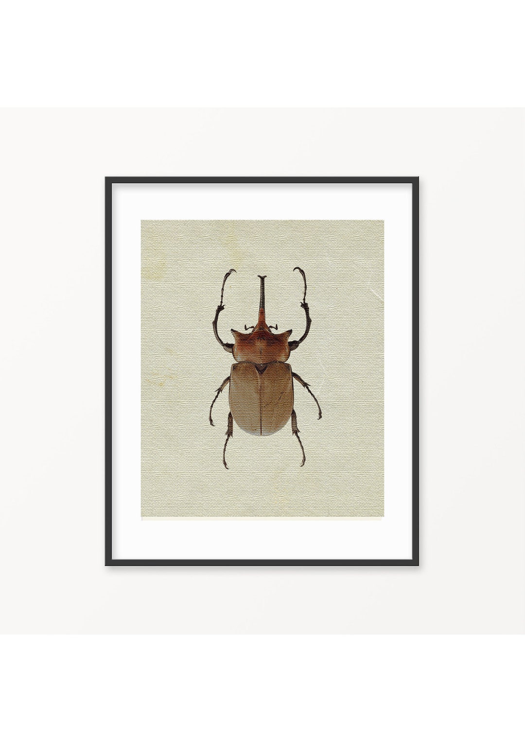 Beetle Print, Insect Print, Bugs Printable, Bugs Print, Bugs Art, Bugs ...