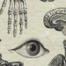 20 Anatomy Overlays Instant Download, Printable, Digital Collage ...