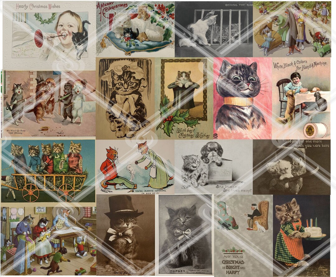 ANTIQUE Cat Postcard SET, Cute Cat Printable - Instant Download Digital ...