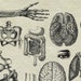 20 Anatomy Overlays Instant Download, Printable, Digital Collage ...