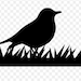 Owner of <a href='https://www.etsy.com/sg-en/shop/BlackbirdSalvage?ref=l2-about-shopname&from_page=listing' class='wt-text-link'>BlackbirdSalvage</a>